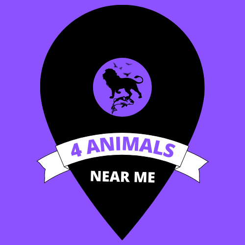 4 Animals Near Me - The nearest Animal Center - 4animalsnearme.com